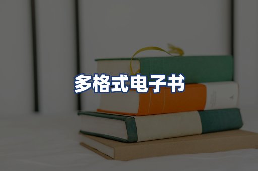 多格式电子书